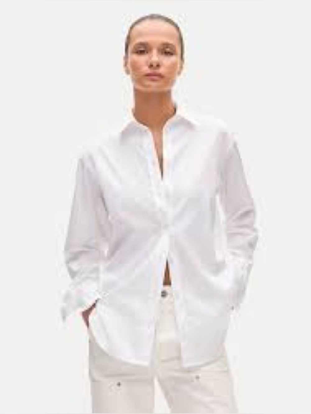 Garçon Classic Baird McNutt J Crew Irish Linen button down shirt